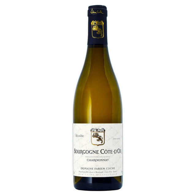 Fabien Coche Bourgogne Côte d'Or Chardonnay 2022-White Wine-World Wine