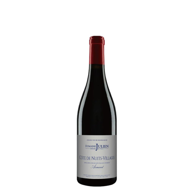 Domaine Julien Cotes de Nuits 'Armand' 2022-Red Wine-World Wine