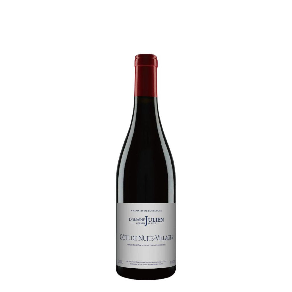 Domaine Julien Cotes de Nuits Villages 2022-Red Wine-World Wine