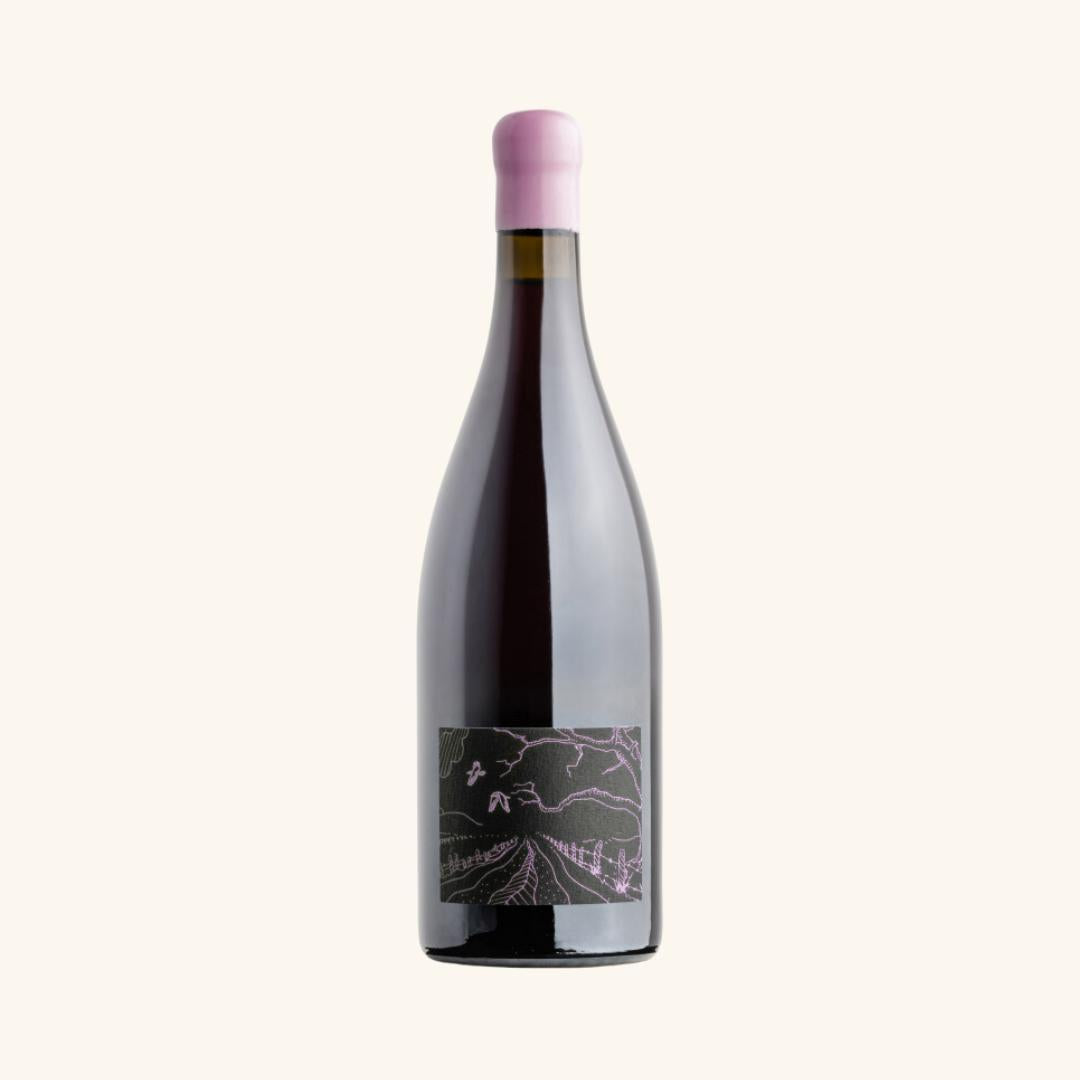 Ghost Rock La Filles Pinot Noir 2024-Red Wine-World Wine