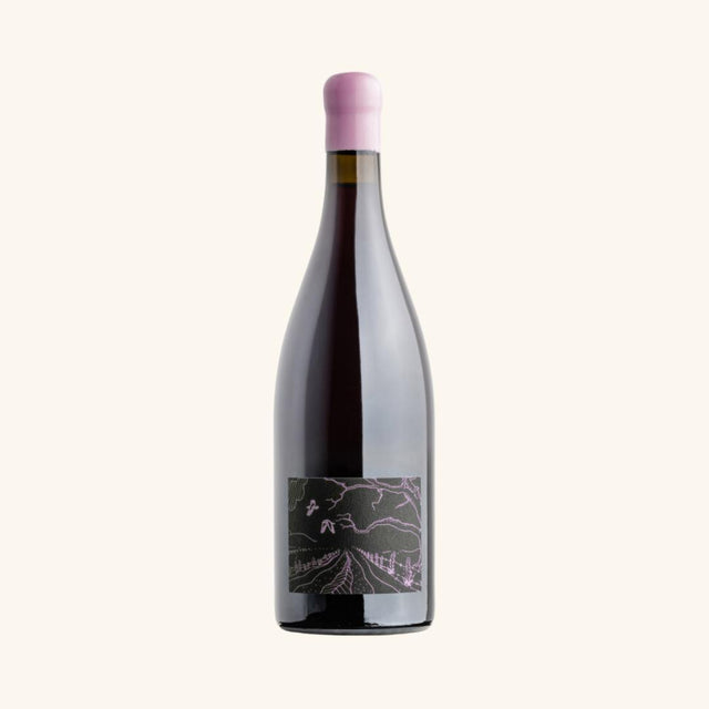 Ghost Rock La Filles Pinot Noir 2024-Red Wine-World Wine