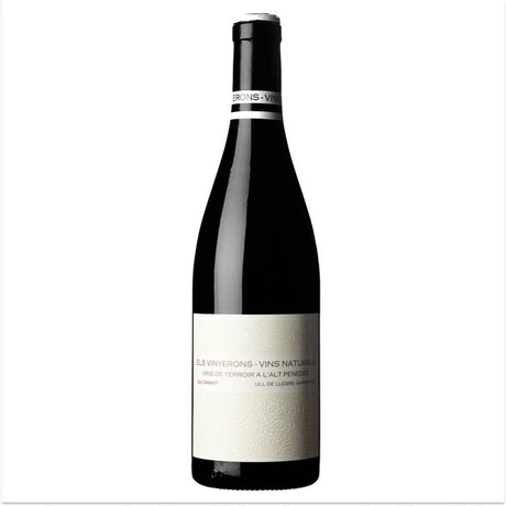 Els Vinyerons Vins Naturals Saltamartí 2021-Red Wine-World Wine