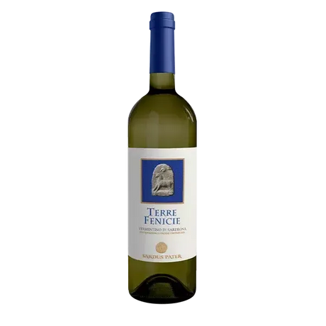 Sardus Pater Terre Fenicie Vermentino di Sardegna DOC 2024-White Wine-World Wine