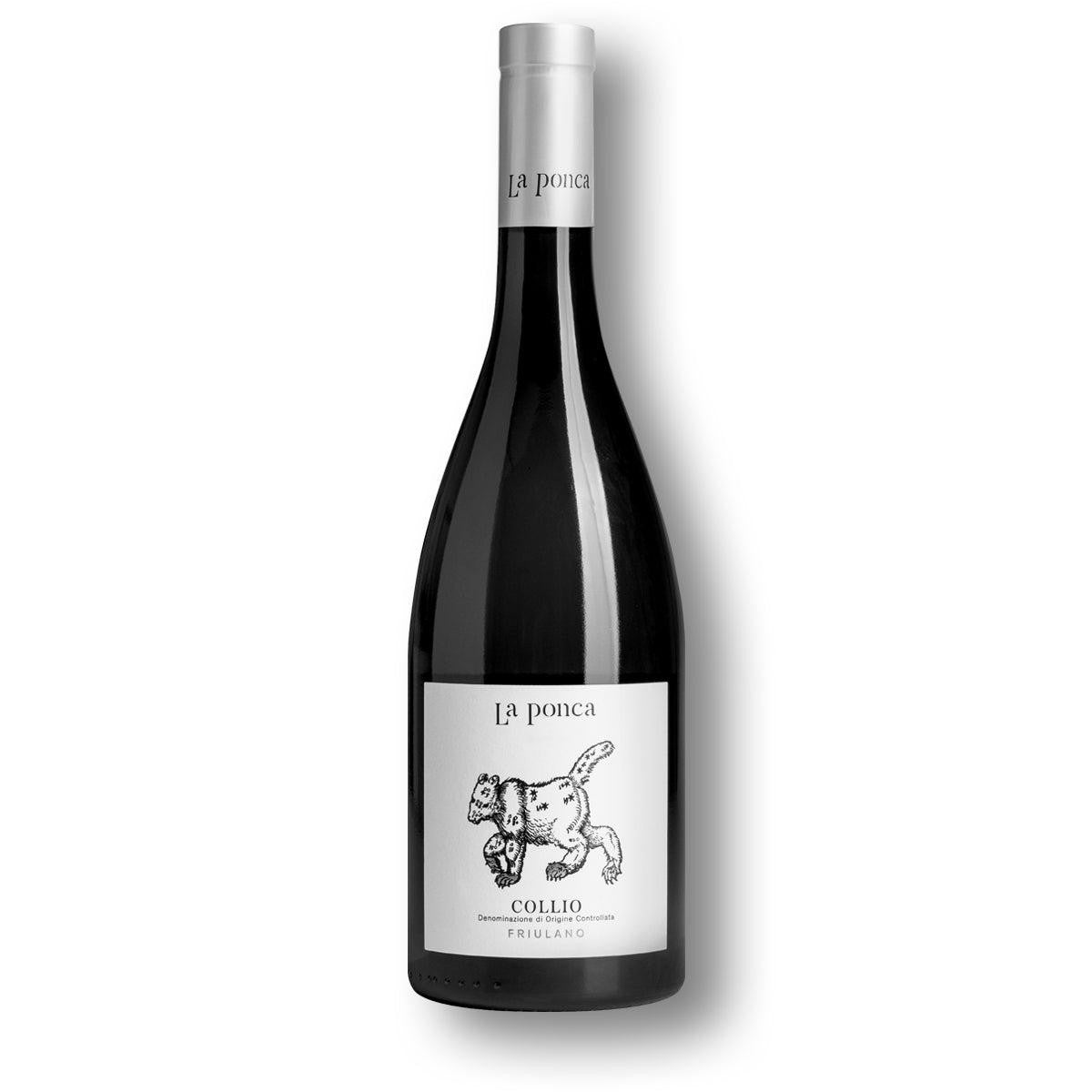 La Ponca Friulano Collio DOC 2021-White Wine-World Wine