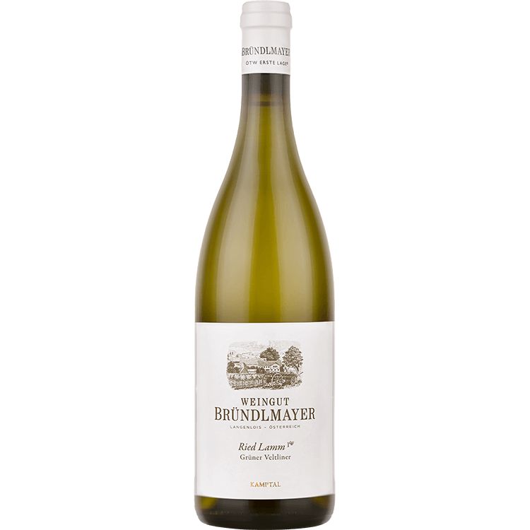 Weingut Brundlmayer Grüner Veltliner ‘Lamm’ 2020 (6 Bottle Case)-Dessert, Sherry & Port-World Wine