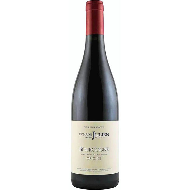 Domaine Julien Bourgogne Rouge 'Origine 2022-Red Wine-World Wine