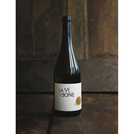 Barranco Oscuro 'La Vi Y Sone' Viognier 2012-White Wine-World Wine