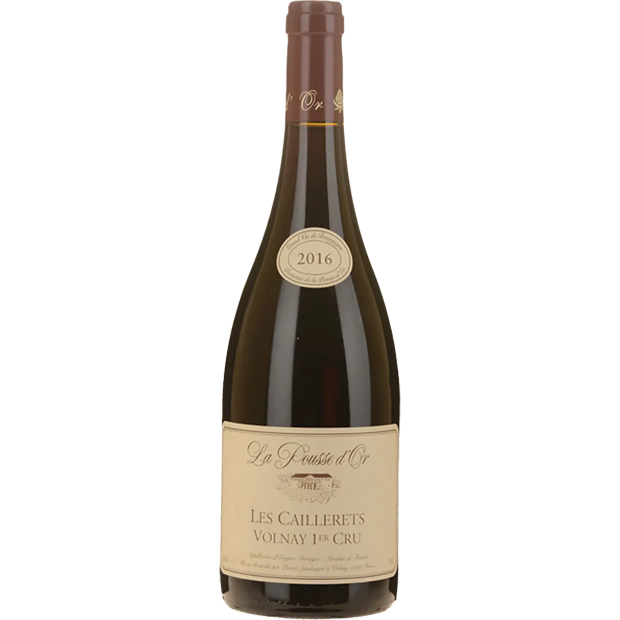 Domaine De La Pousse D'Or Gevrey Chambertin Perriere 1er Cru 2020-Red Wine-World Wine