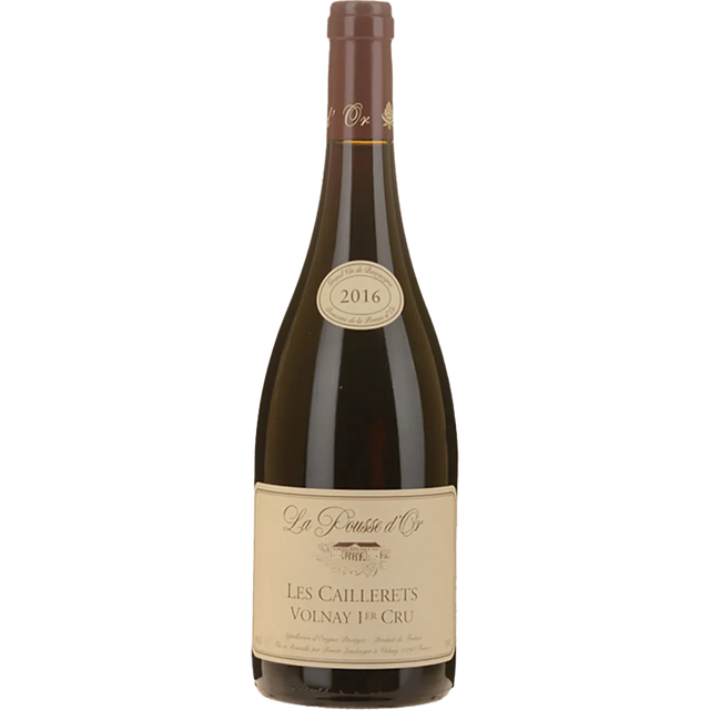 Domaine De La Pousse D'Or Gevrey Chambertin Perriere 1er Cru 2020-Red Wine-World Wine