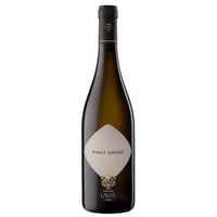Cantina LaVis Pinot Grigio-White Wine-World Wine