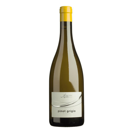Cantina Andrian Classic Pinot Grigio 2024-White Wine-World Wine