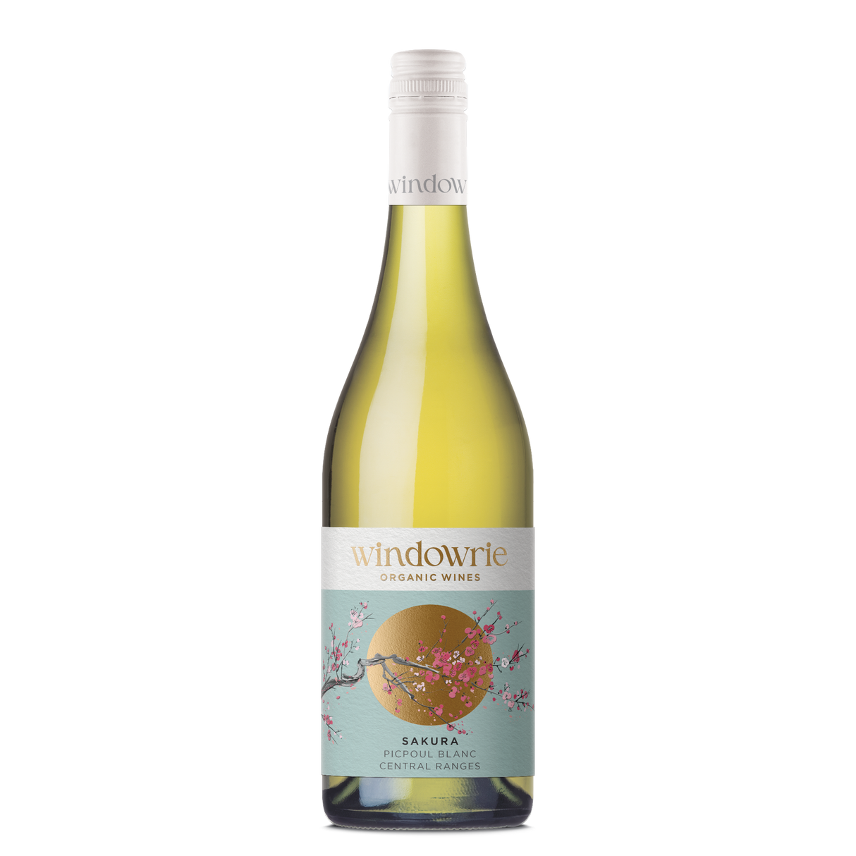 Windowrie 'Sakura' Picpoul Blanc 2026