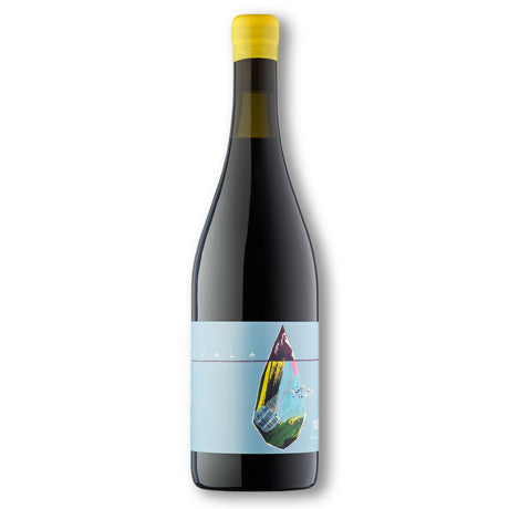 VallDolina Marselan Natural Alt Penedès ‘Uvala’ 2019-Red Wine-World Wine