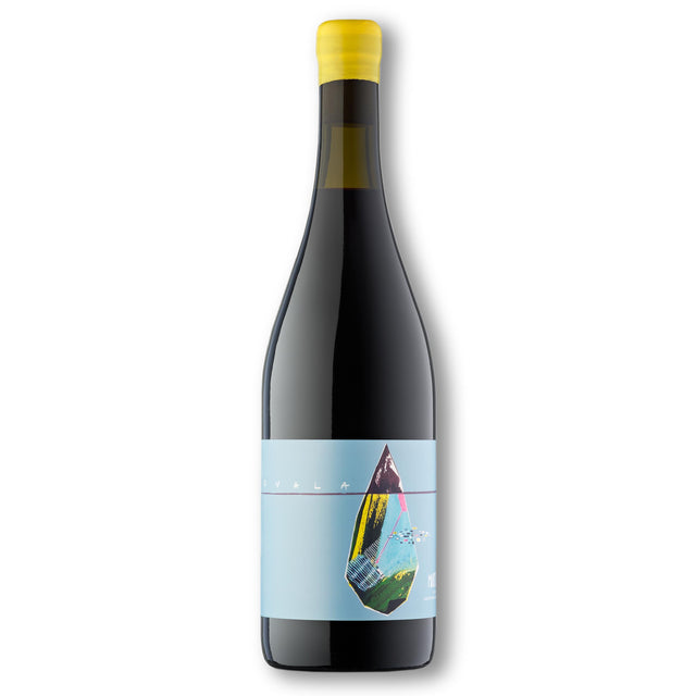 VallDolina Marselan Natural Alt Penedès ‘Uvala’ 2019-Red Wine-World Wine