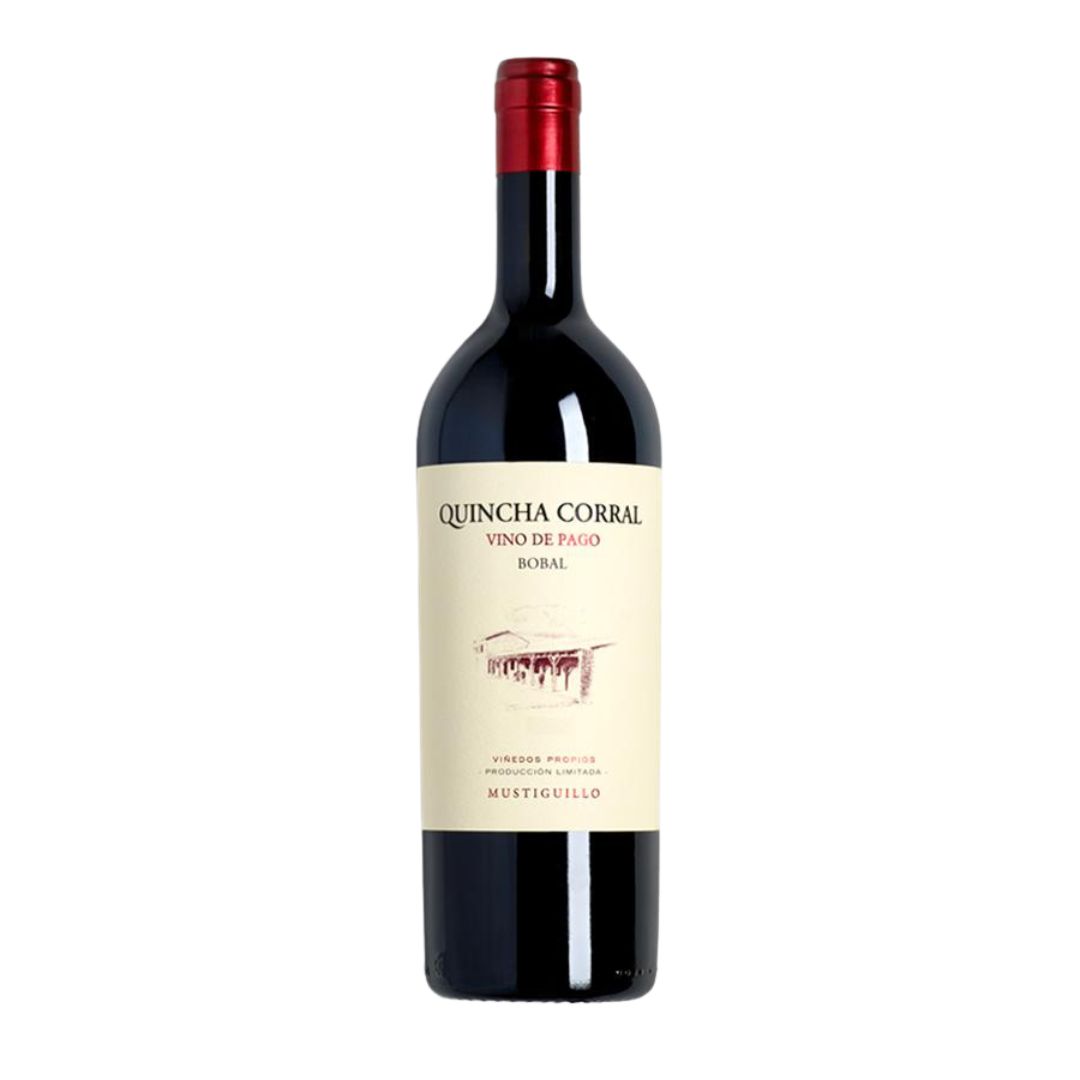 Bodegas Mustiguillo Quincha Corral 2011-Red Wine-World Wine