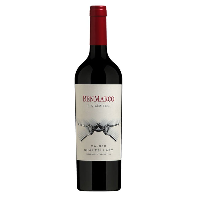 BenMarco Sin Límites Gualtallary 2022-Red Wine-World Wine