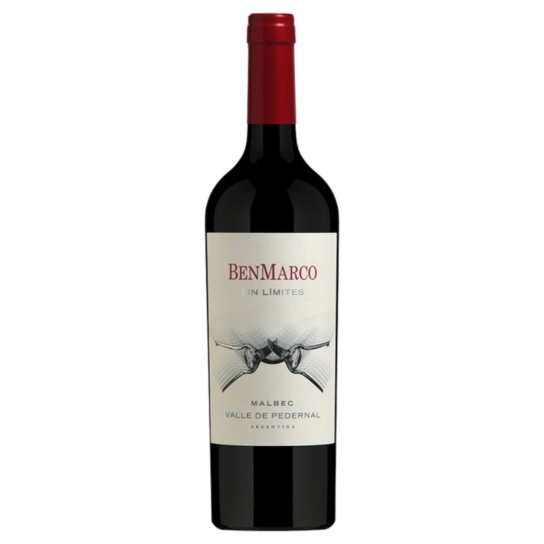 BenMarco Sin Límites Valle de Pedernal 2021-Red Wine-World Wine