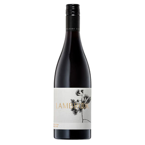 Lambrook Plant Pinot Noir