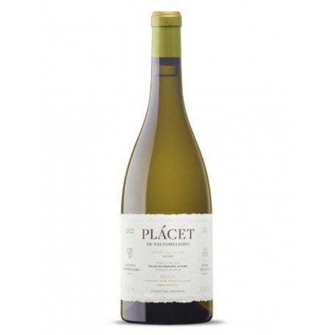 Descendientes de J. Palacios Palacios Remondo ‘Placet de Valtomelloso’ Viura 1.5 litre Magnum 2019-White Wine-World Wine