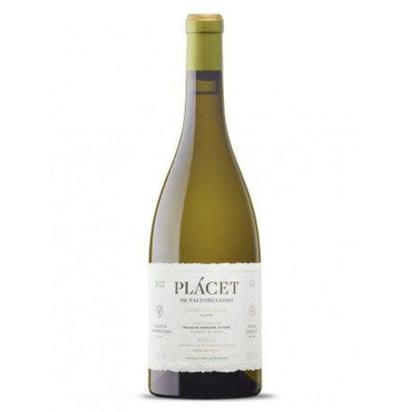 Descendientes de J. Palacios Palacios Remondo ‘Placet de Valtomelloso’ Viura 1.5 litre Magnum 2019-White Wine-World Wine