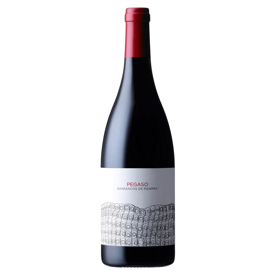 Telmo Rodríguez ‘Pegaso Barrancos de Pizzara’ Garnacha 2020-Red Wine-World Wine