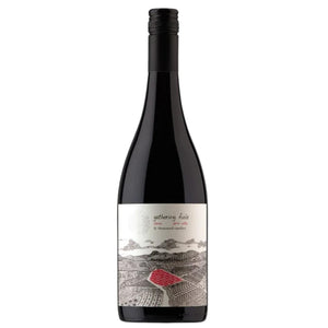 Thousand Candles Gathering Field Shiraz 2021