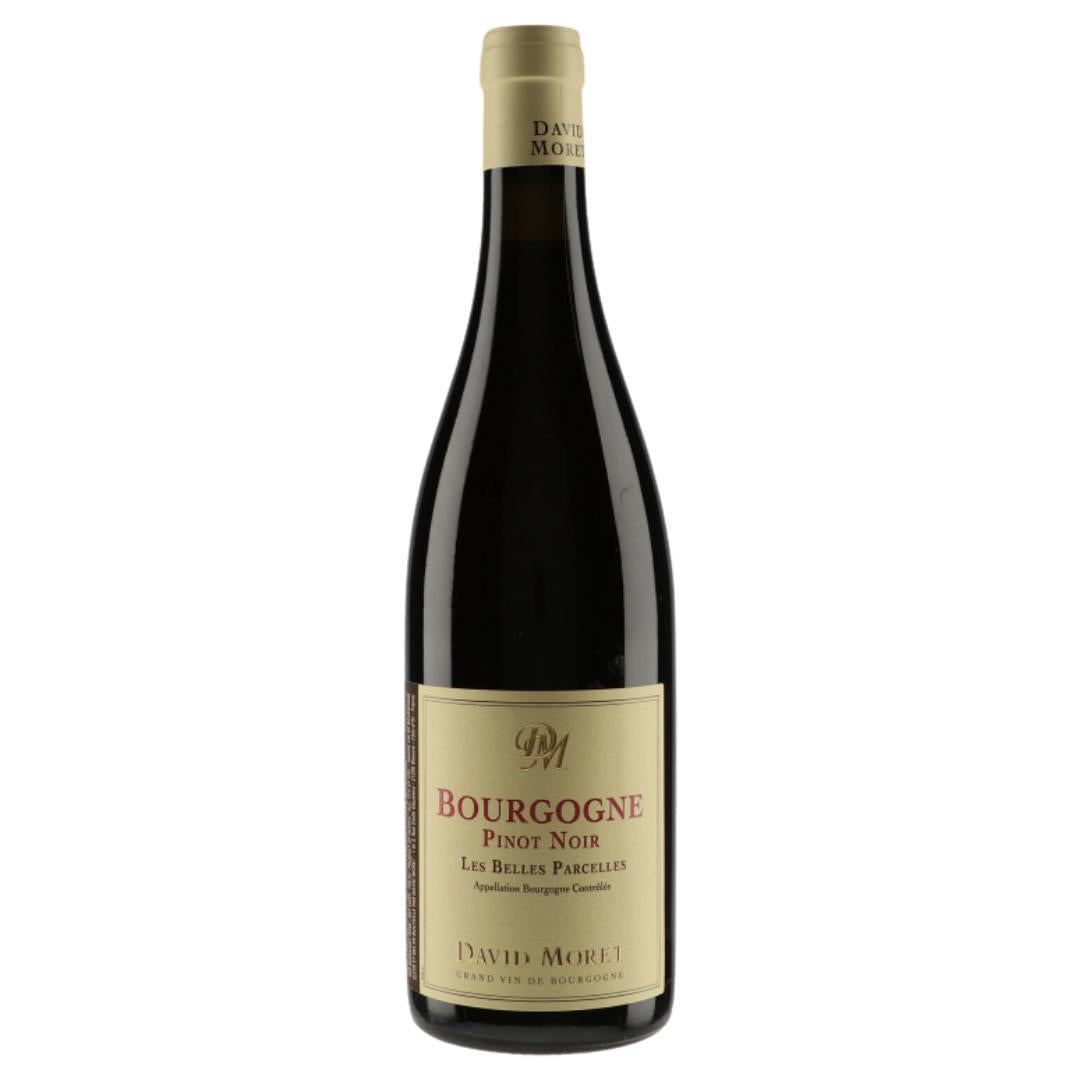 David Moret Bourgogne Pinot Noir 2023-Red Wine-World Wine