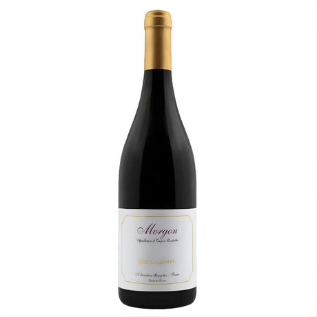 Cellier De Samsons Morgon 2022-Red Wine-World Wine