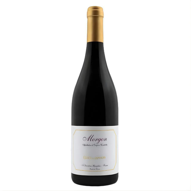 Cellier De Samsons Morgon 2022-Red Wine-World Wine