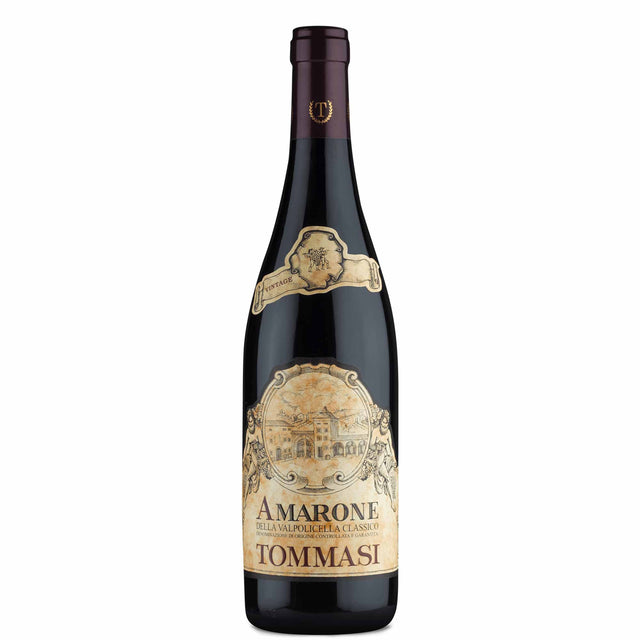 Tommasi Amarone Della Valpolicella Classico DOCG 2019-Red Wine-World Wine