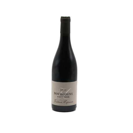 Domaine Frederic Leprince Bourgogne Pinot Noir 2021-Red Wine-World Wine