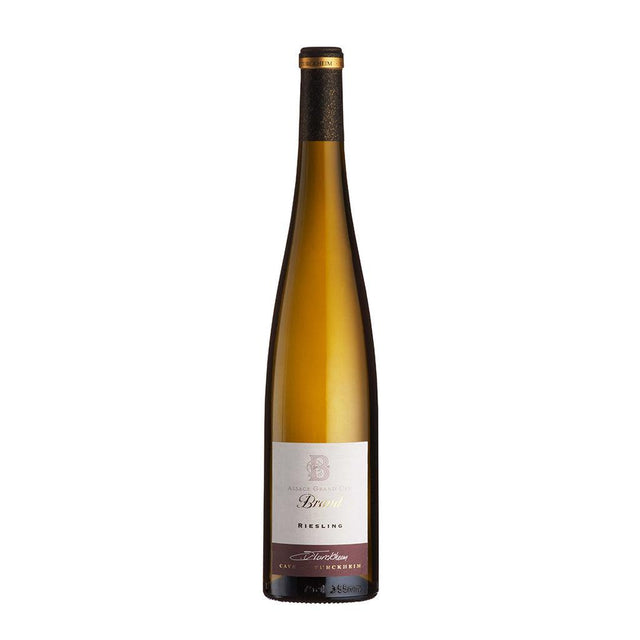 Cave de Turckheim Riesling Grand Cru ‘Brand’ 2018-White Wine-World Wine
