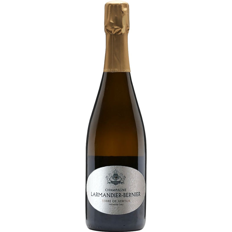 Champagne Larmandier-Bernier 1er Cru Terre de Vertus Blanc de Blancs 2016 (Disg. Nov 2022)-Champagne & Sparkling-World Wine