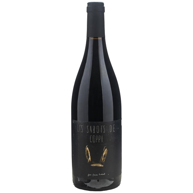 Domaine de l'Iserand Saint Joseph Les Sabots de Coppi 2022-Red Wine-World Wine