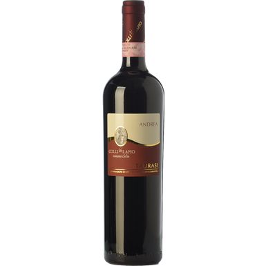 Colli Di Lapio Taurasi DOCG ‘Andrea’ 2017-Red Wine-World Wine