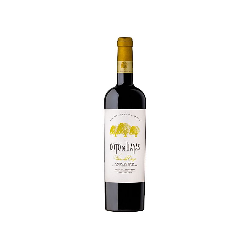 Bodegas Aragonesas Coto de Hayas "Vinas del Ciezo" Reserva 2016-Red Wine-World Wine