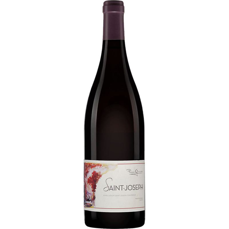 Domaine Pierre Gaillard Saint-Joseph Rouge 2021-Red Wine-World Wine