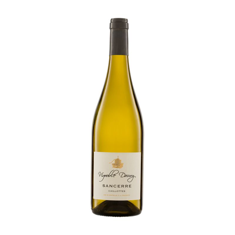 Dauny Sancerre AOC Les Caillottes 2021-White Wine-World Wine