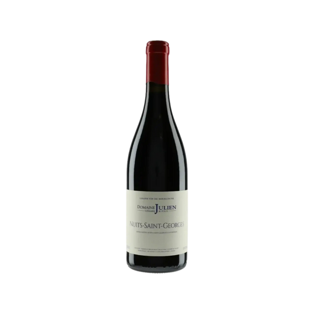 Domaine Julien Nuits Saint Georges 2022-Red Wine-World Wine