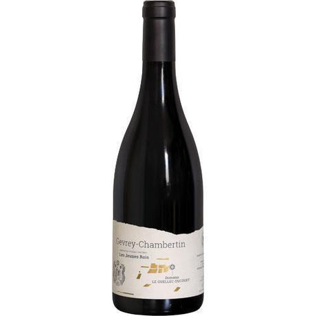 Domaine Le Guellec-Ducouet Domaine Le Guellec-Ducouet Gevrey-Chambertin Les Jeunes Rois 2021-Red Wine-World Wine