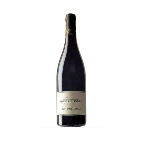 Domaine Dubost Beaujolais-Villages Rouge 2022-Red Wine-World Wine