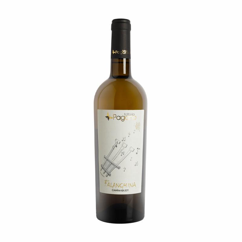 Fattoria Pagano IGT Campania Organic Falanghina 2021-White Wine-World Wine