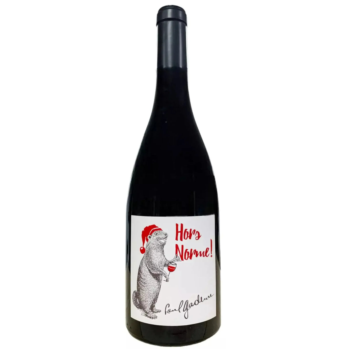 Paul Gadenne Hors Norme Rouge 2022-Red Wine-World Wine