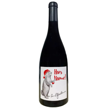 Paul Gadenne Hors Norme Rouge 2022-Red Wine-World Wine