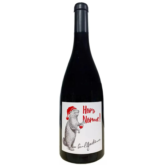 Paul Gadenne Hors Norme Rouge 2022-Red Wine-World Wine