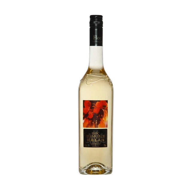 Gelas Floc de Gascogne Blanc (White) 17% 750-Spirits-World Wine
