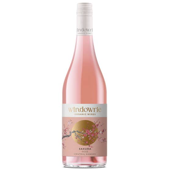 Windowrie 'Sakura' Rose 2024