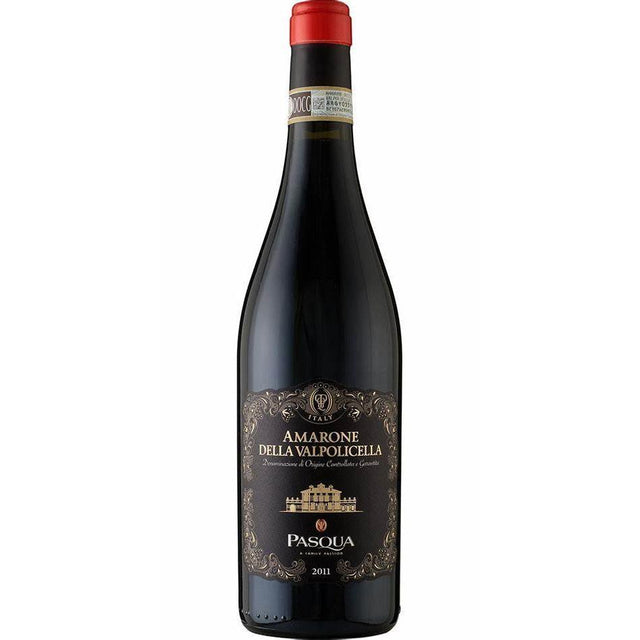 Pasqua Amarone della Valpolicella DOCG 2019-Red Wine-World Wine