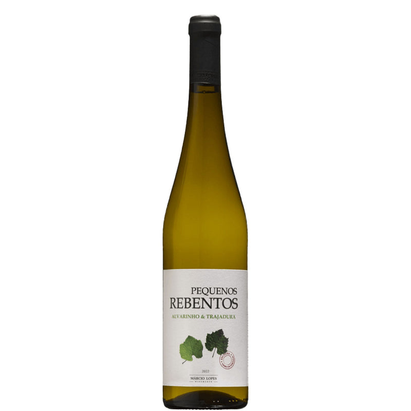 Pequenos Rebentos Alvarinho-Trajadura 2022-White Wine-World Wine