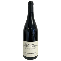 Boisson Frère Et Boisson Frère et Soeur Pierre Boisson Hautes-Côtes de Beaune Rouge ‘Couleuvraire’ 2020-Red Wine-World Wine